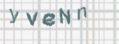 CAPTCHA-Bild zum Spam-Schutz 